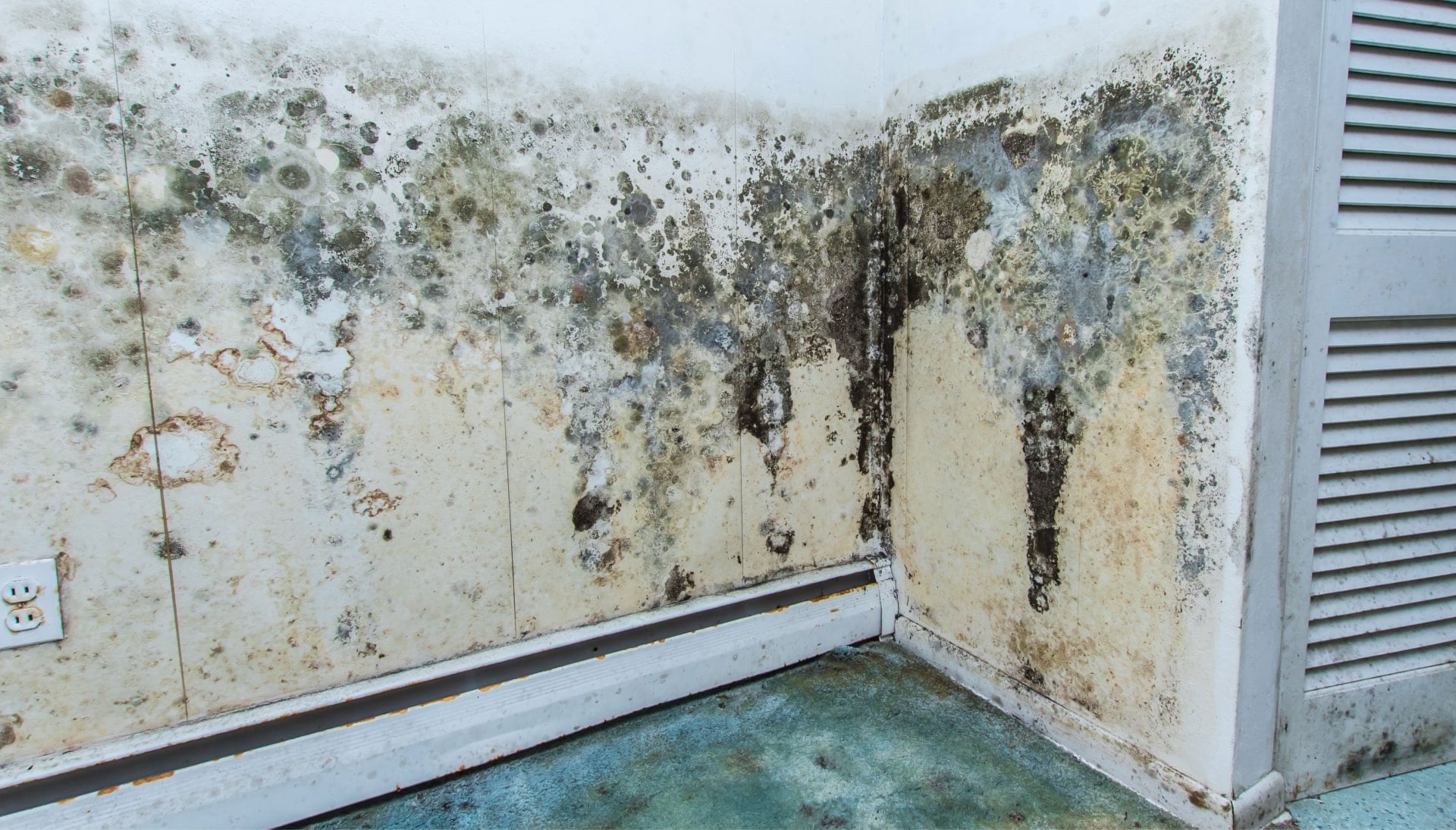 Professional mold removal, odor control, and water damage restoration service in Fort Myers, Florida.