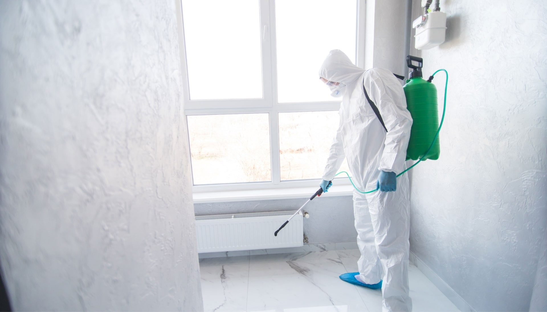 We provide the highest-quality mold inspection, testing, and removal services in the Fort Myers, Florida area.